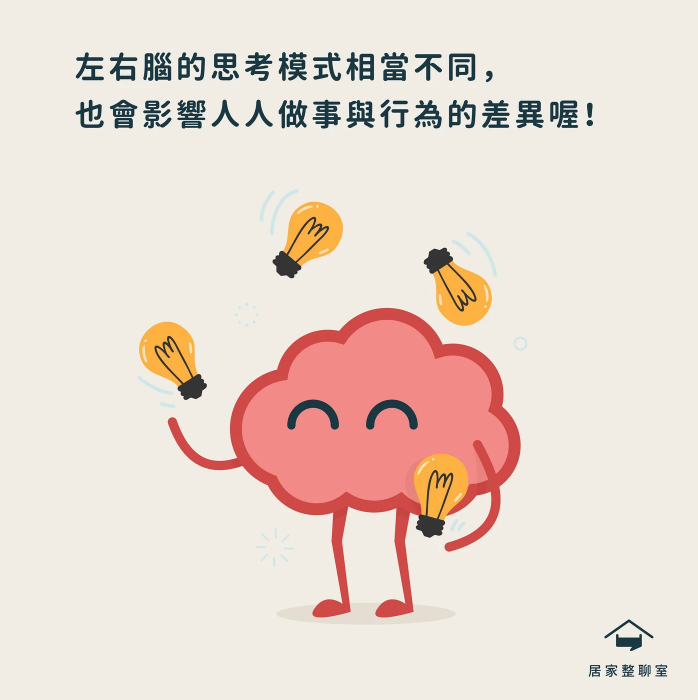 收納知識｜左右腦的思考模式相當不同，也會影響人人做事與行為的差異喔！