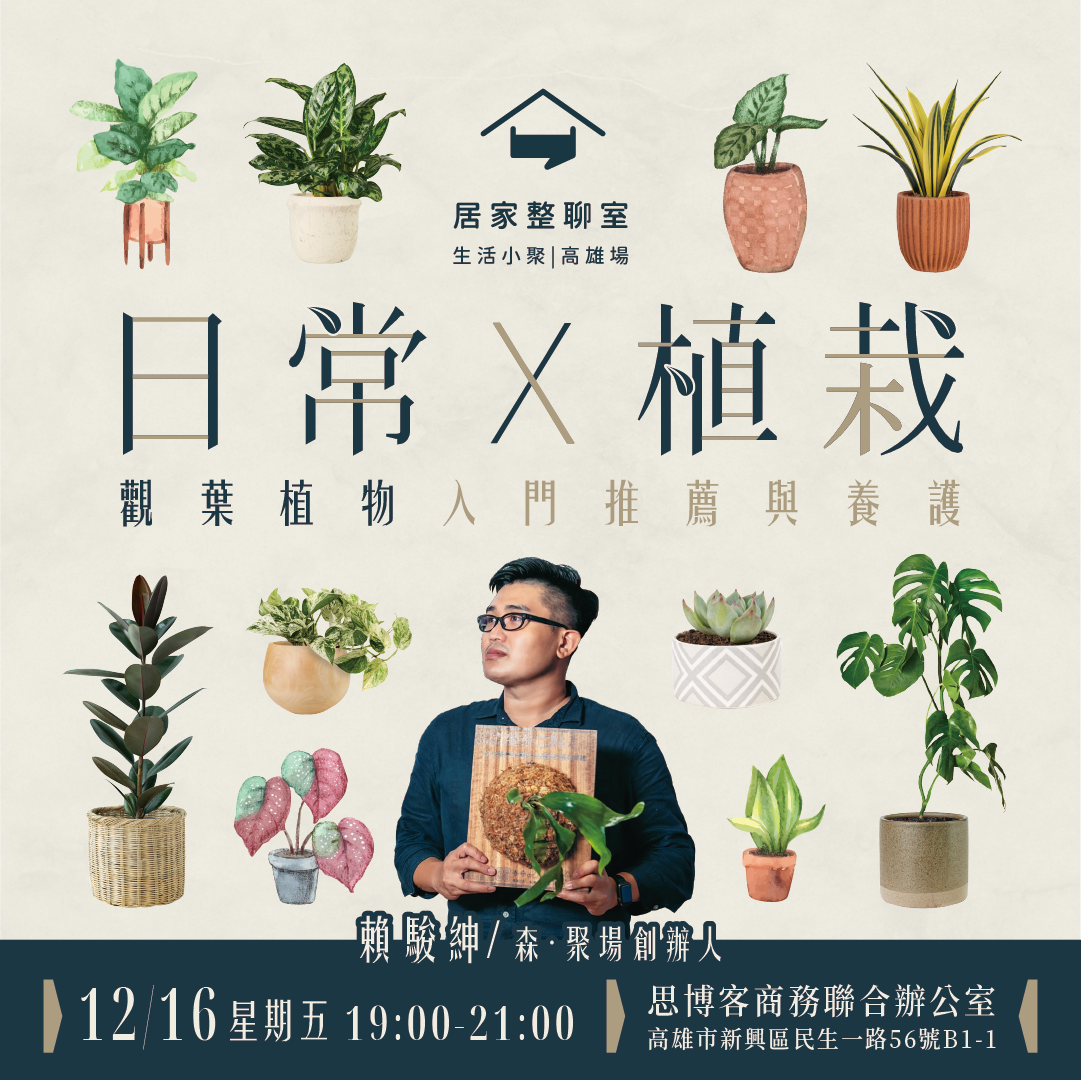 十二月小聚｜日常Ｘ植栽：觀葉植物入門推薦與養護